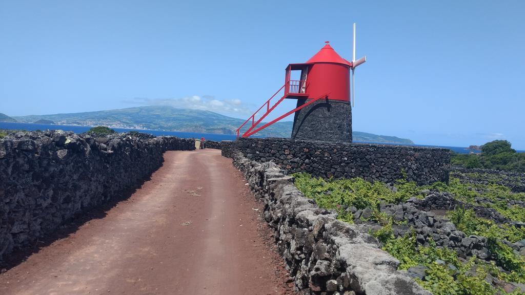 Casas do Verdelho Madalena (Azores) Exterior foto