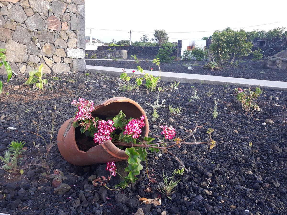 Casas do Verdelho Madalena (Azores) Exterior foto